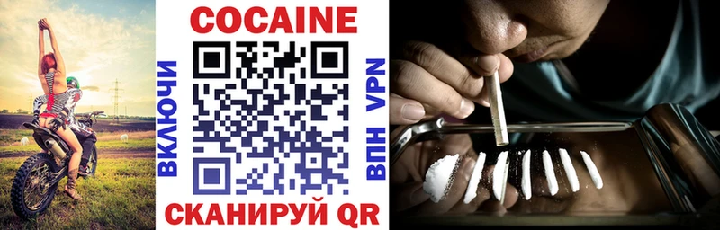 COCAIN Fish Scale  МЕГА зеркало  Мамоново 