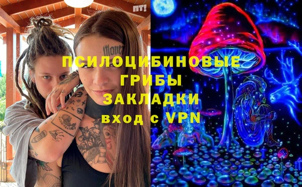 хмурый Алексеевка