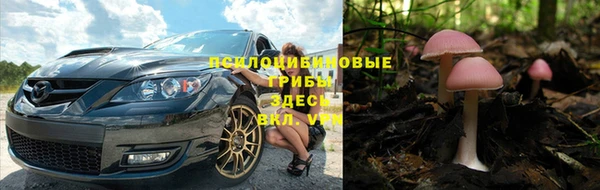 прущая мука Алексин
